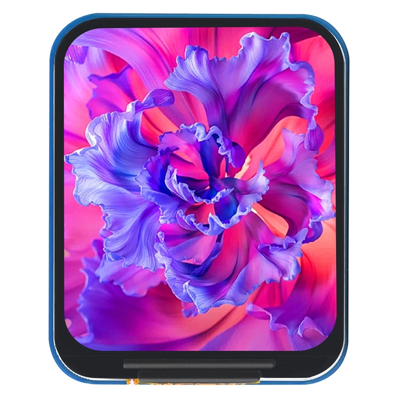 1.69" LCD Display Module (240x280)