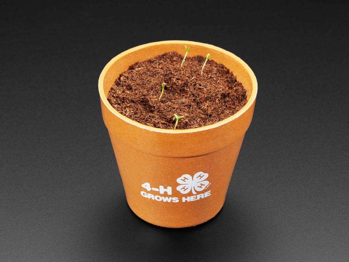 4-H Grow Your Own Clovers Kit [Discontinued] - Image 3
