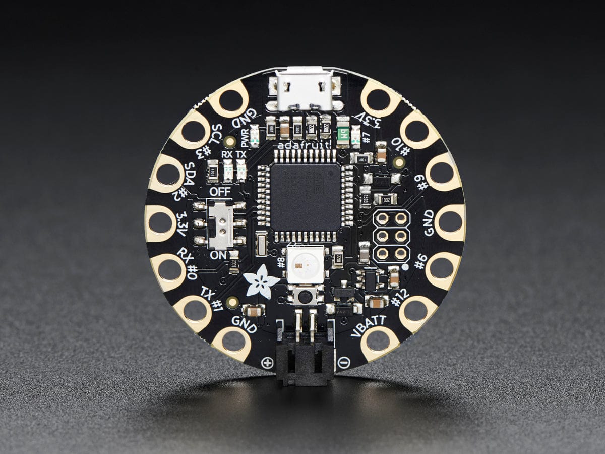 FLORA - Wearable Electronic Platform - Image 2