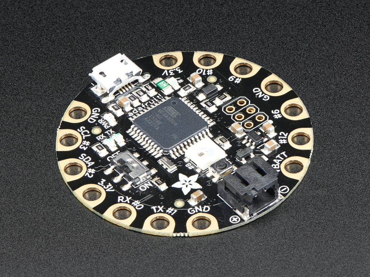 FLORA - Wearable Electronic Platform - Image 3