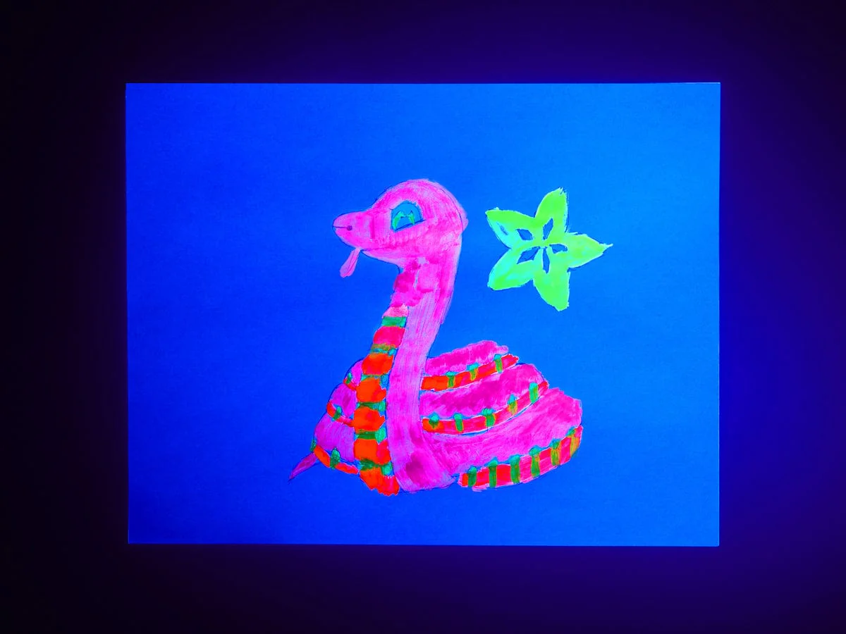 Fluorescent Pigment - Pink [Discontinued] - Image 5