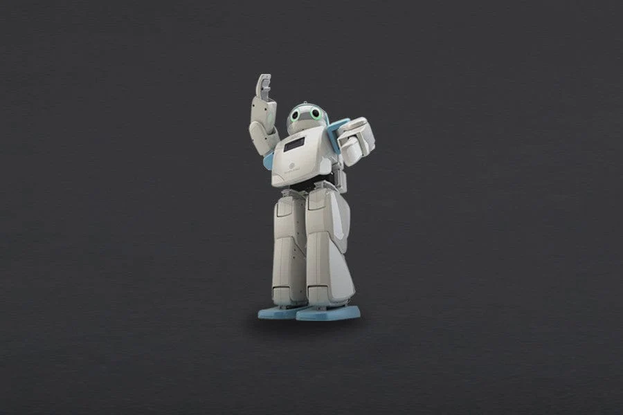 HOVIS Eco Plus - 20 DOF Humanoid Robot [Discontinued]