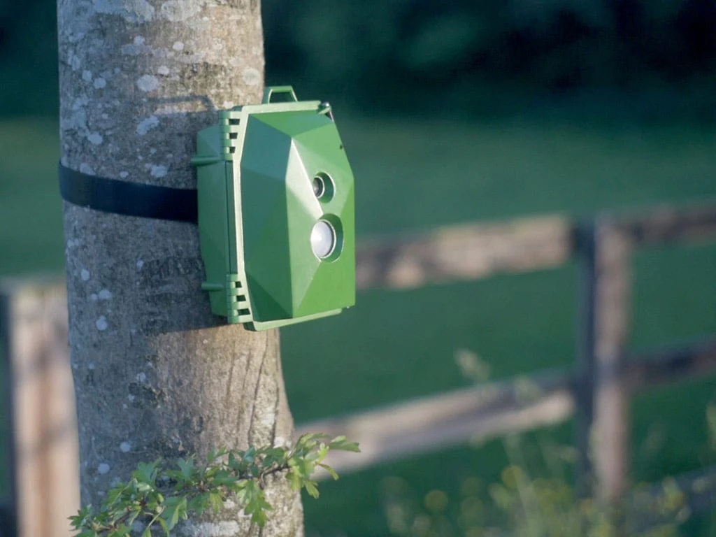 Naturebytes Wildlife Camera Kit - Image 5