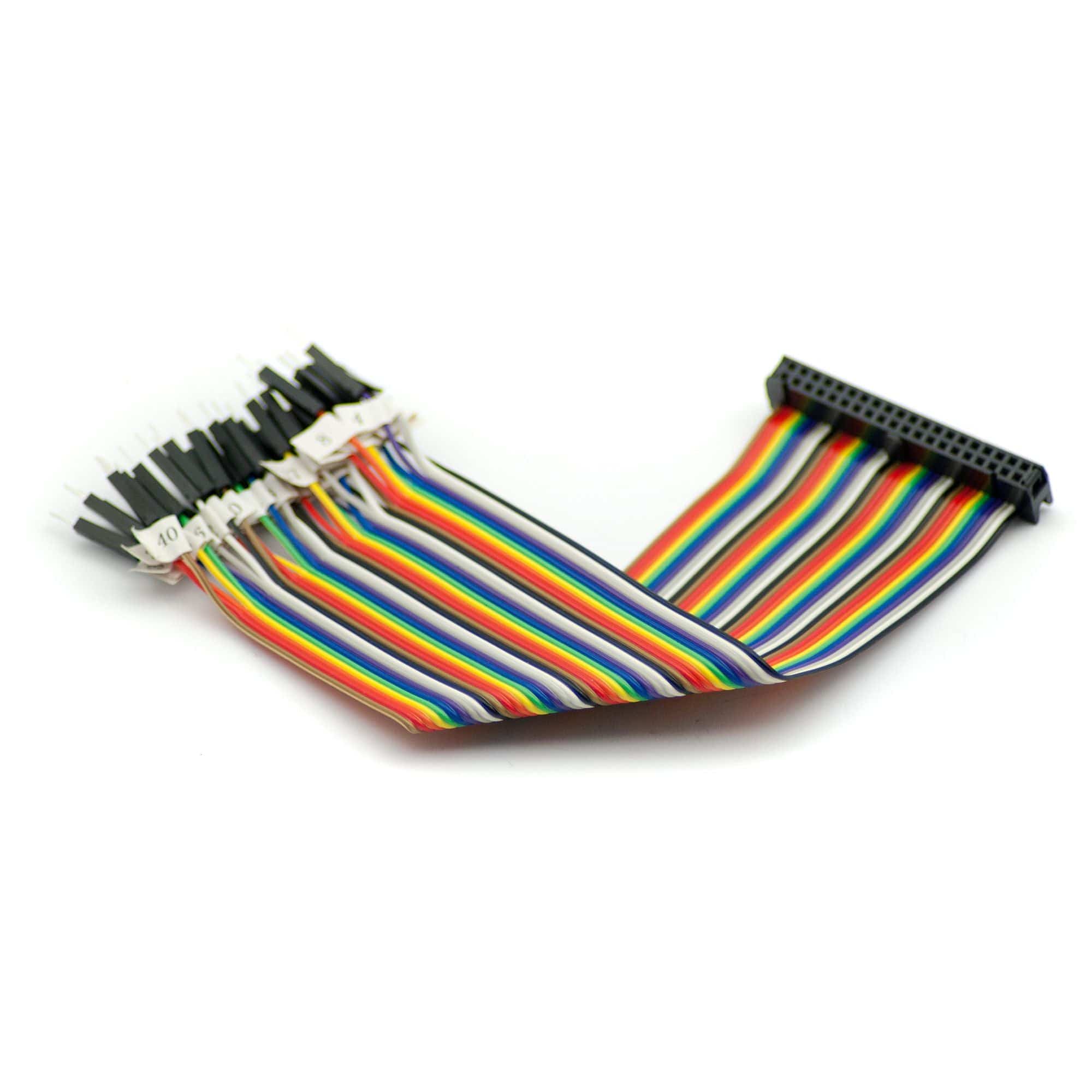 40-Pin GPIO Socket Connector to Male Labelled Pins - 200mm