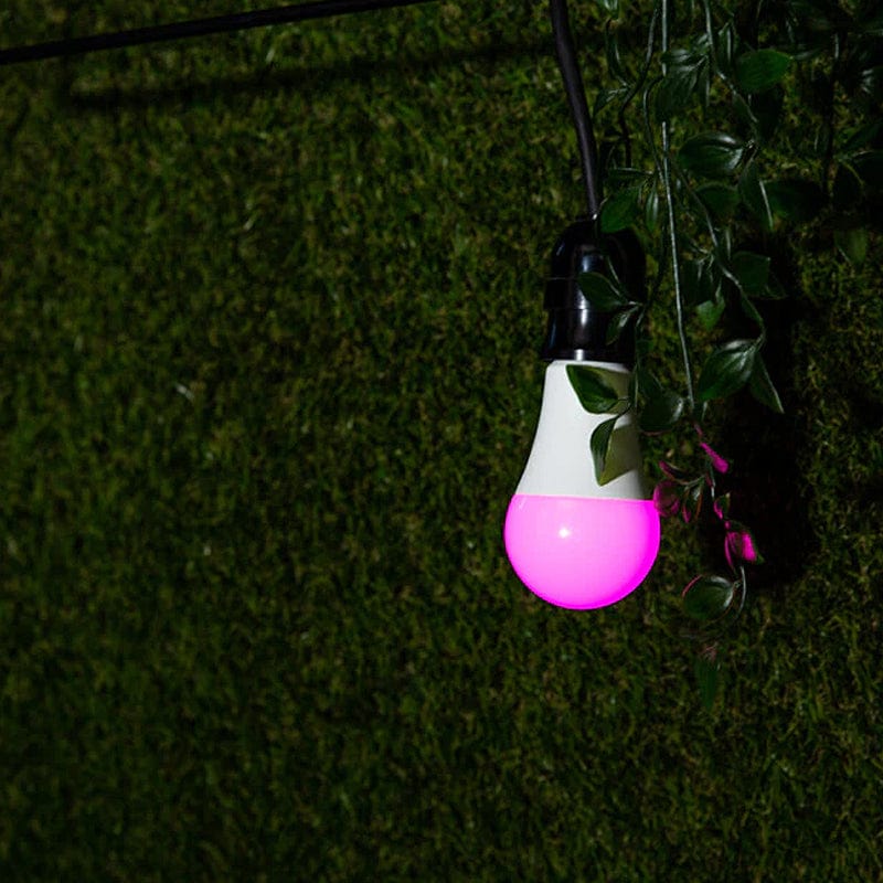 Shelly Duo RGBW - E27 Dimmable Smart Bulb - Image 4