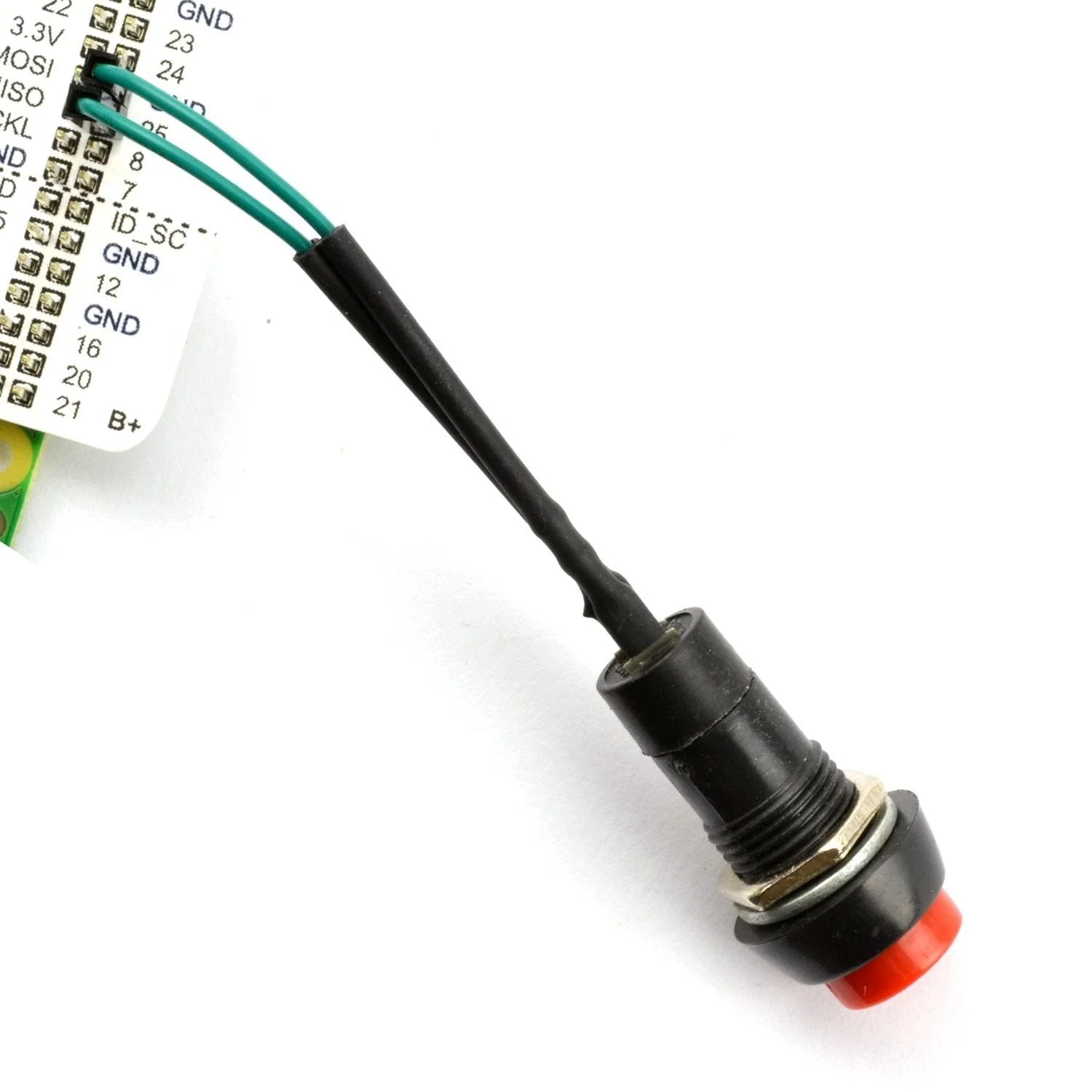 Squid Button - Non-Latching - Image 3